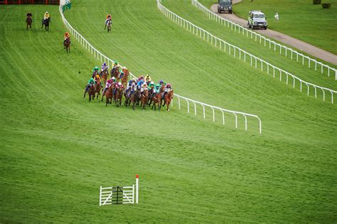 ladbrokes cheltenham places|Bookies Reveal Top Five Most Popular Cheltenham Festival .